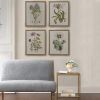 Herbal Botany 4-piece Botanical Illustration Framed Canvas Wall Art Set