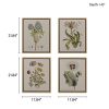 Herbal Botany 4-piece Botanical Illustration Framed Canvas Wall Art Set